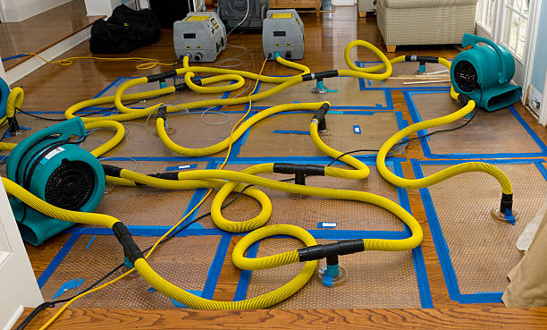 Professional Structural Drying And Dehumidification technician working in Silverton, OR
